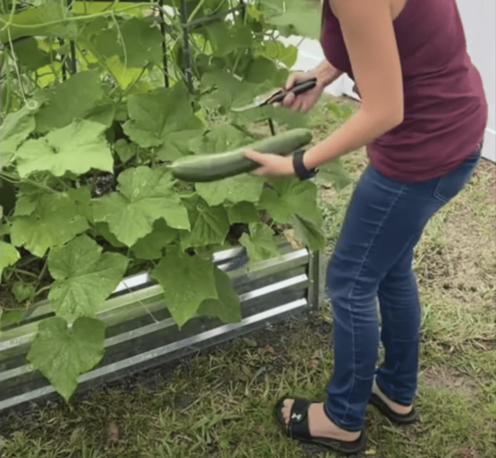 Garden Benefits